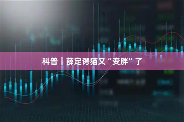 科普｜薛定谔猫又“变胖”了