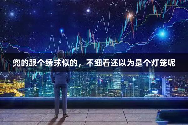 兜的跟个绣球似的，不细看还以为是个灯笼呢