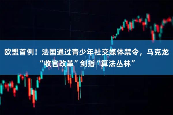 欧盟首例！法国通过青少年社交媒体禁令，马克龙“收官改革”剑指“算法丛林”